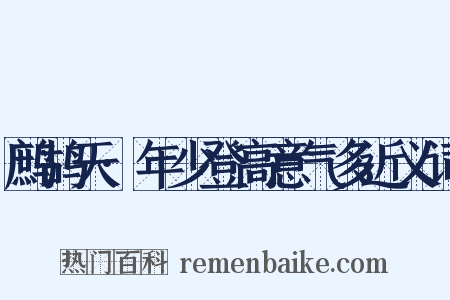 鹧鸪天·年少登高意气多近义词是什么意思的图片